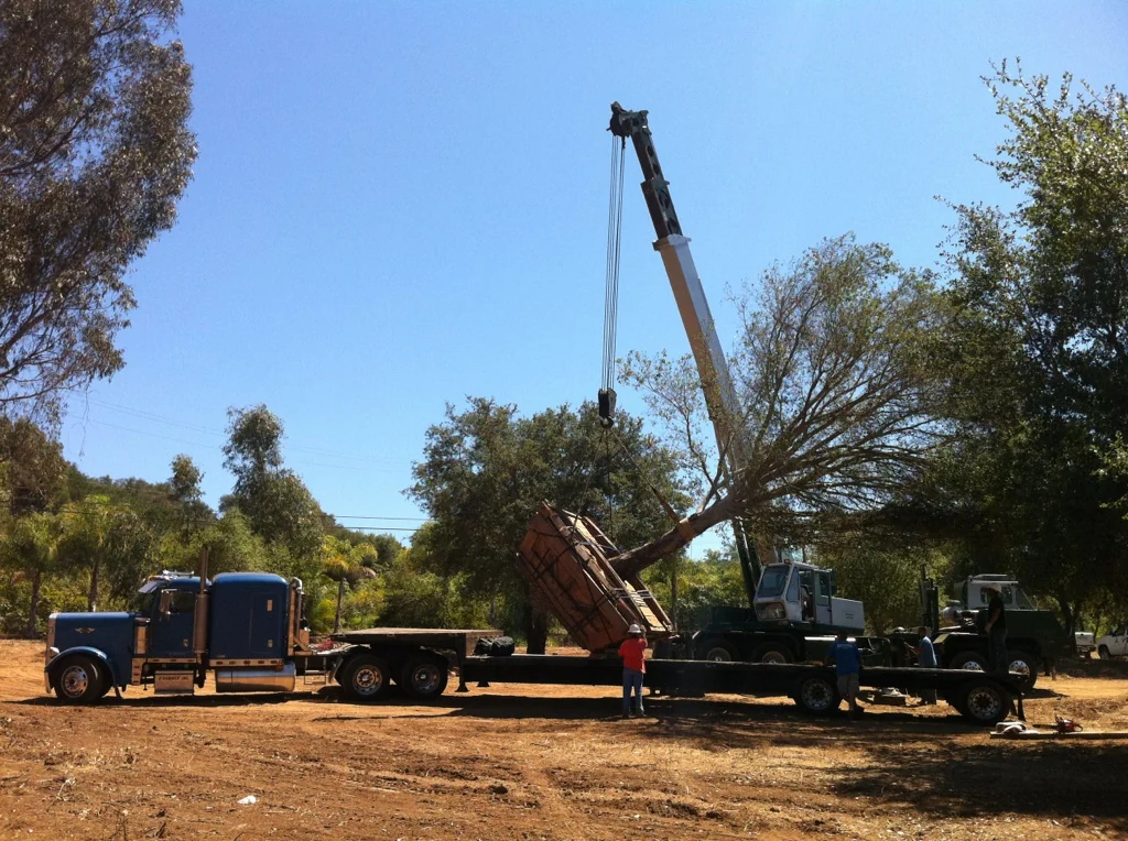 Crane and transport equipment handling a large tree on site